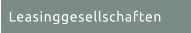 Leasinggesellschaften