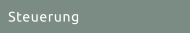 Steuerung